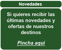 novedades stupendos
