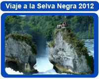 viaje selva negra stupendos